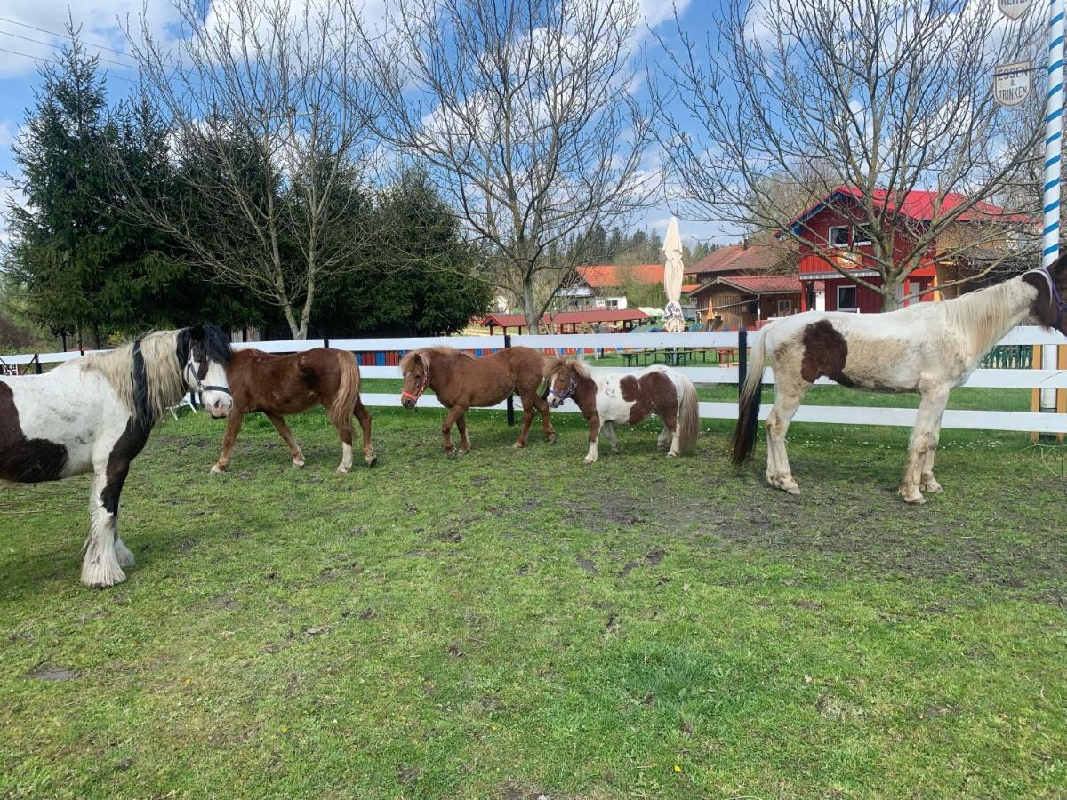 Ferienwohnung Am Ponyhof อัลเทิตทิง ภายนอก รูปภาพ